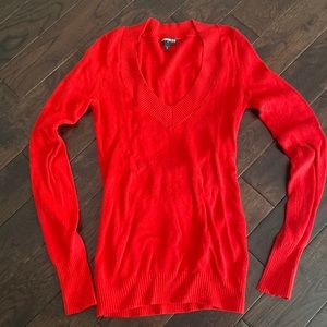 Express v neck sweater